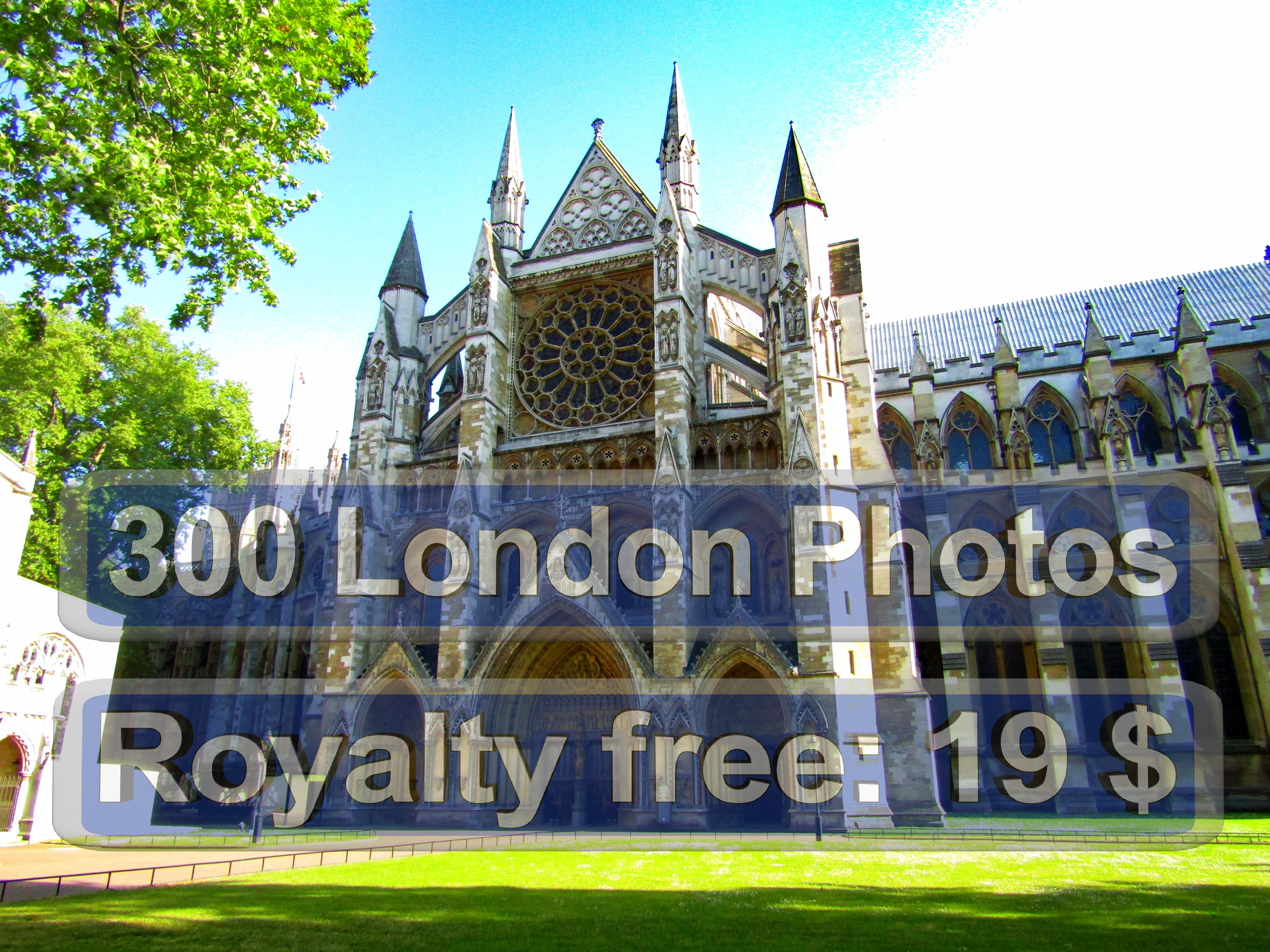 London Drugs Photo Pick Up