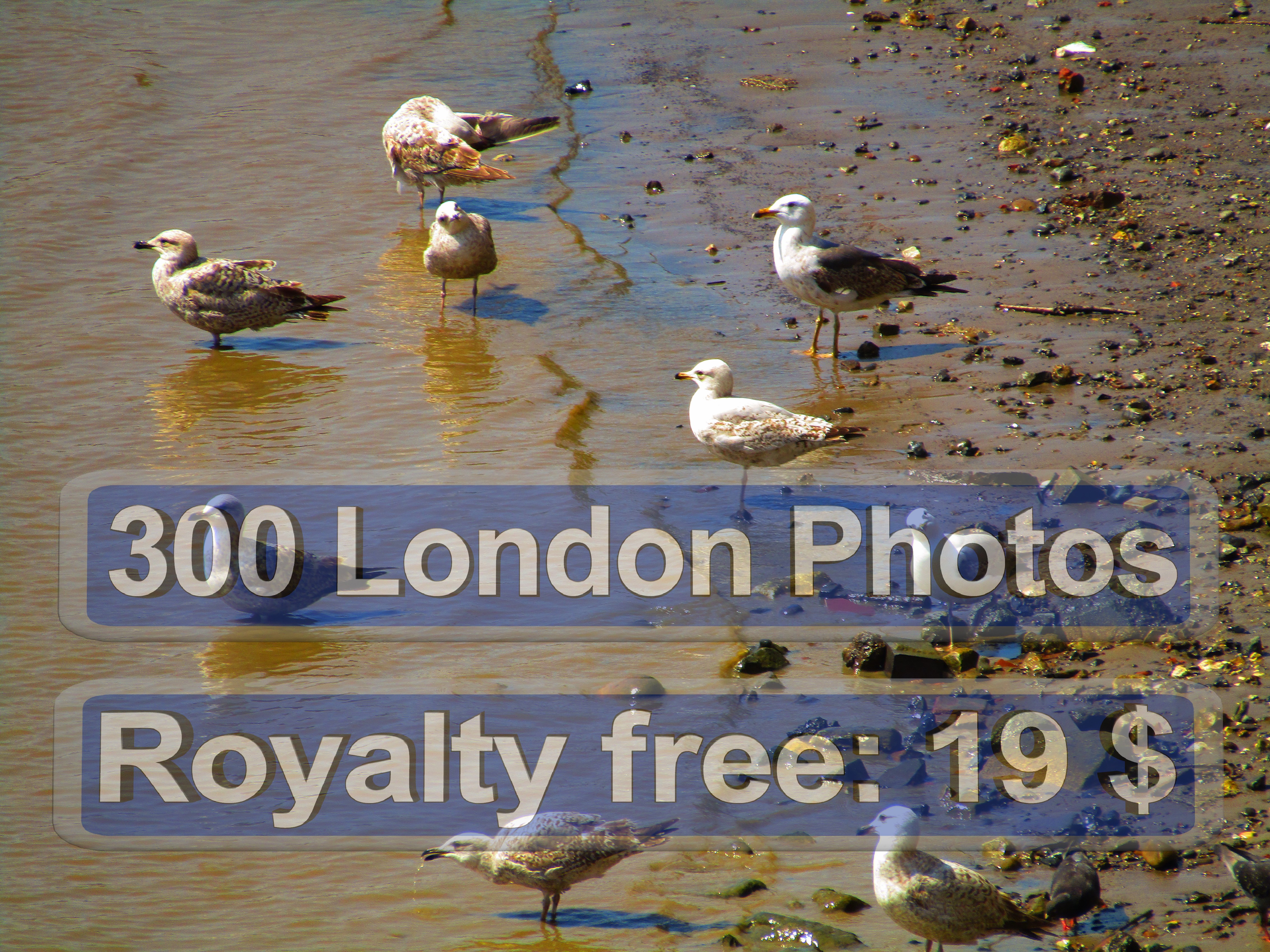London Photo Passport