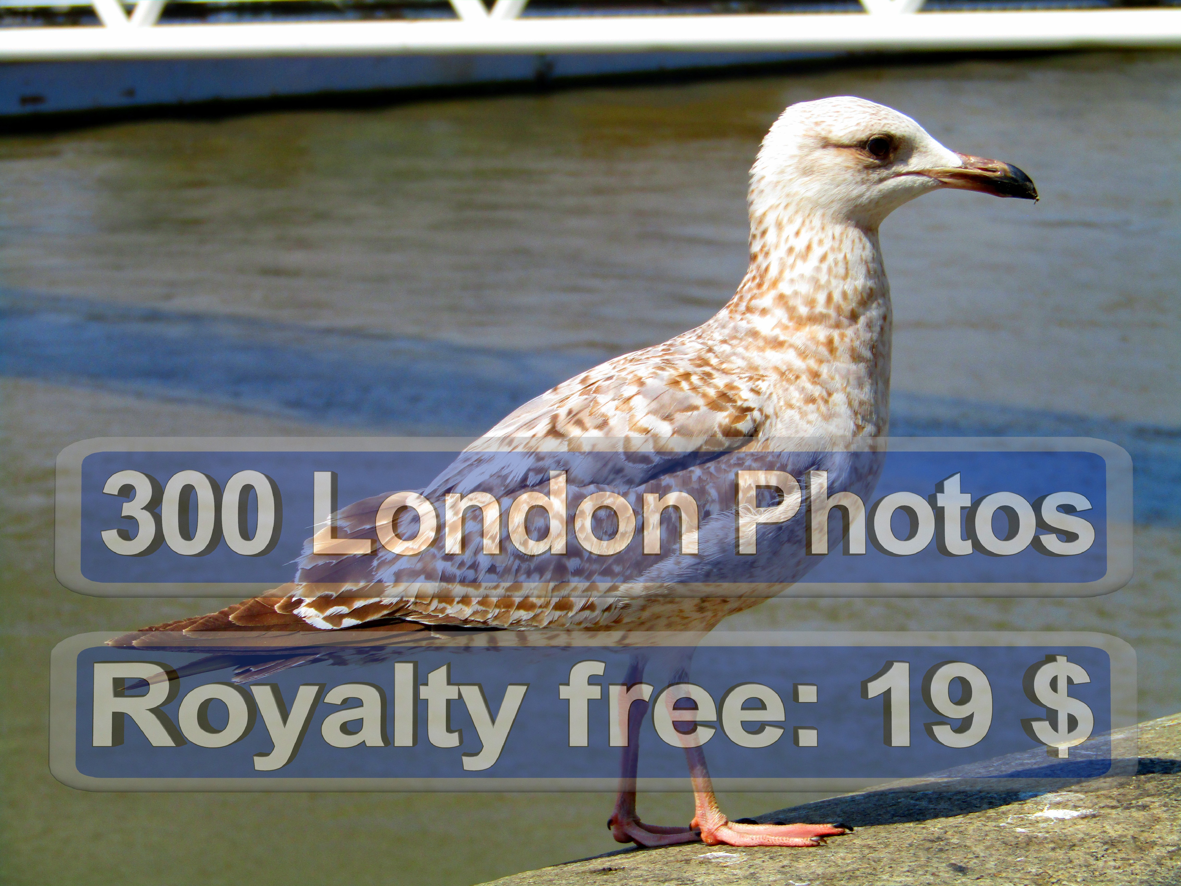 London Photo Printing Services