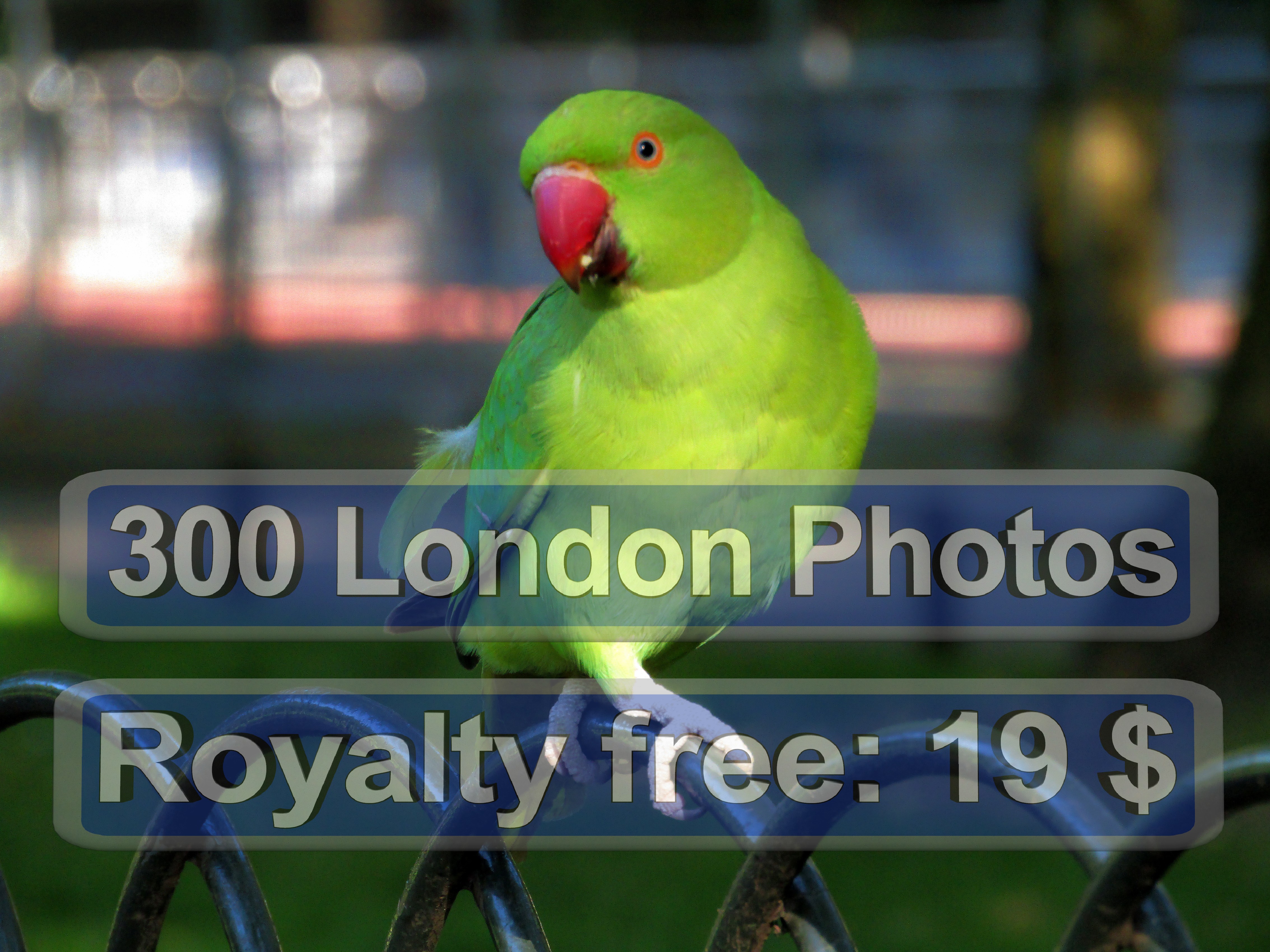 London Photo Quiz