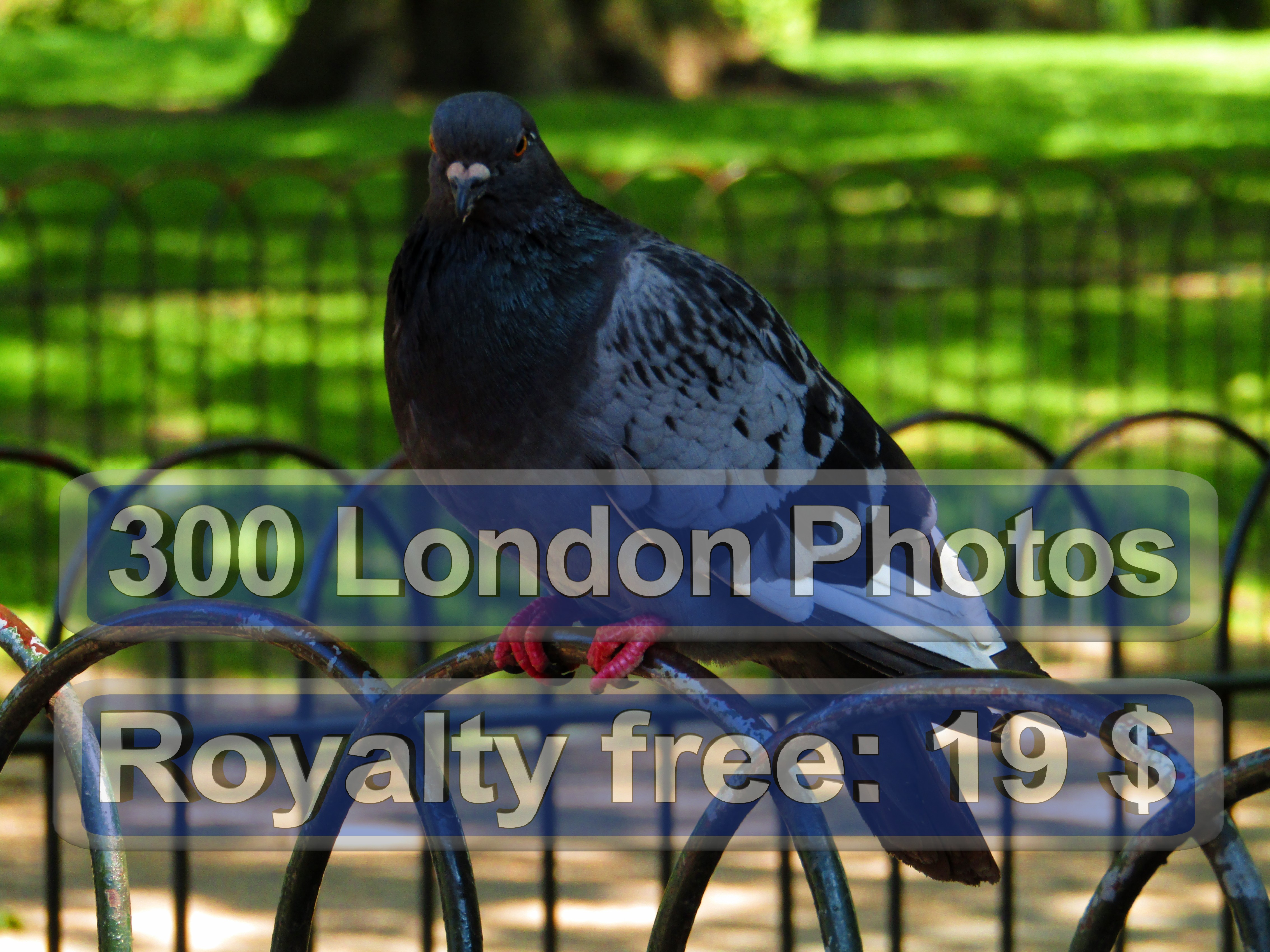 London Underground Photo Quiz