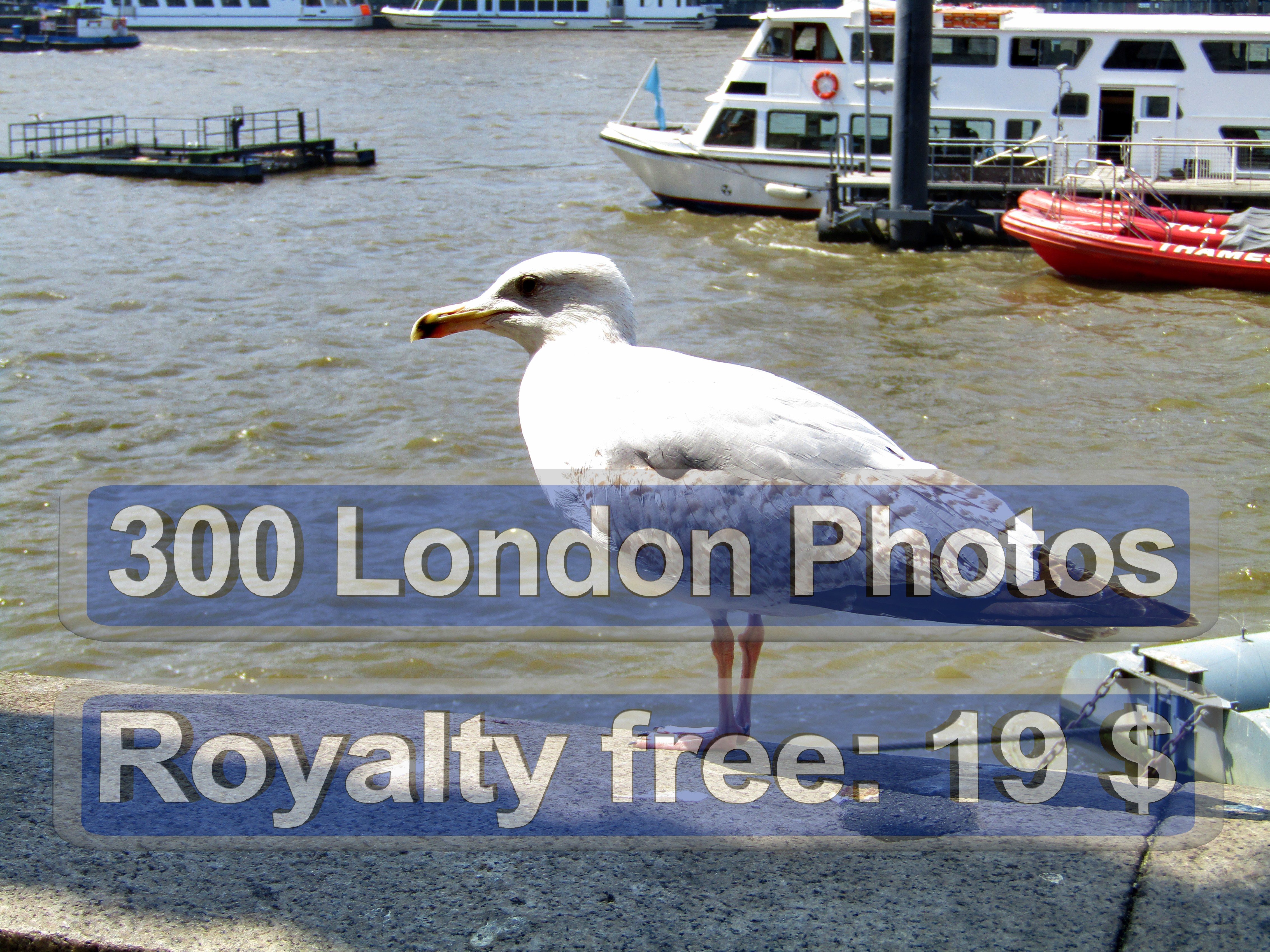 Photo London Preview