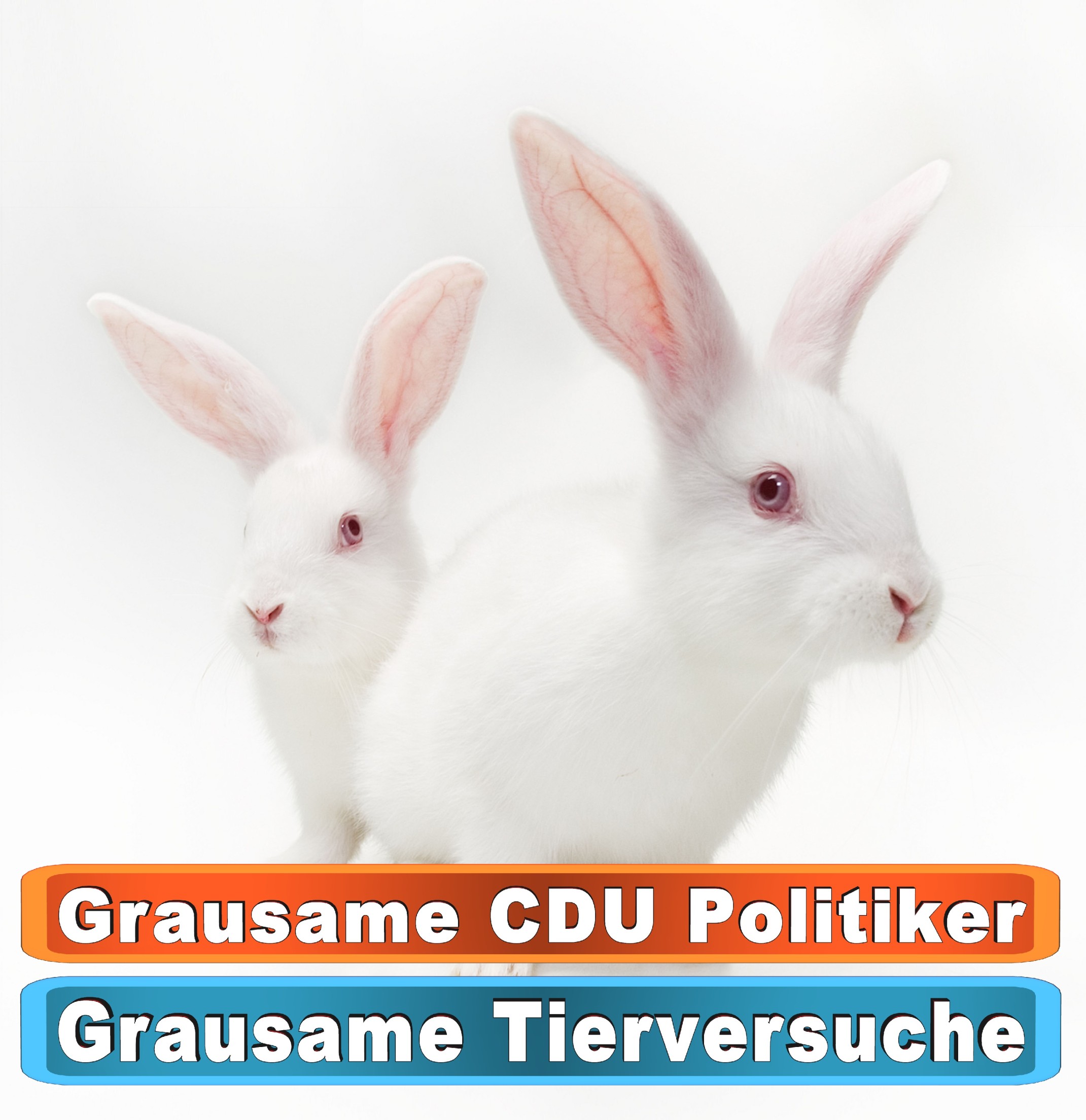 Tierhandlung Osnabrück Youtube
