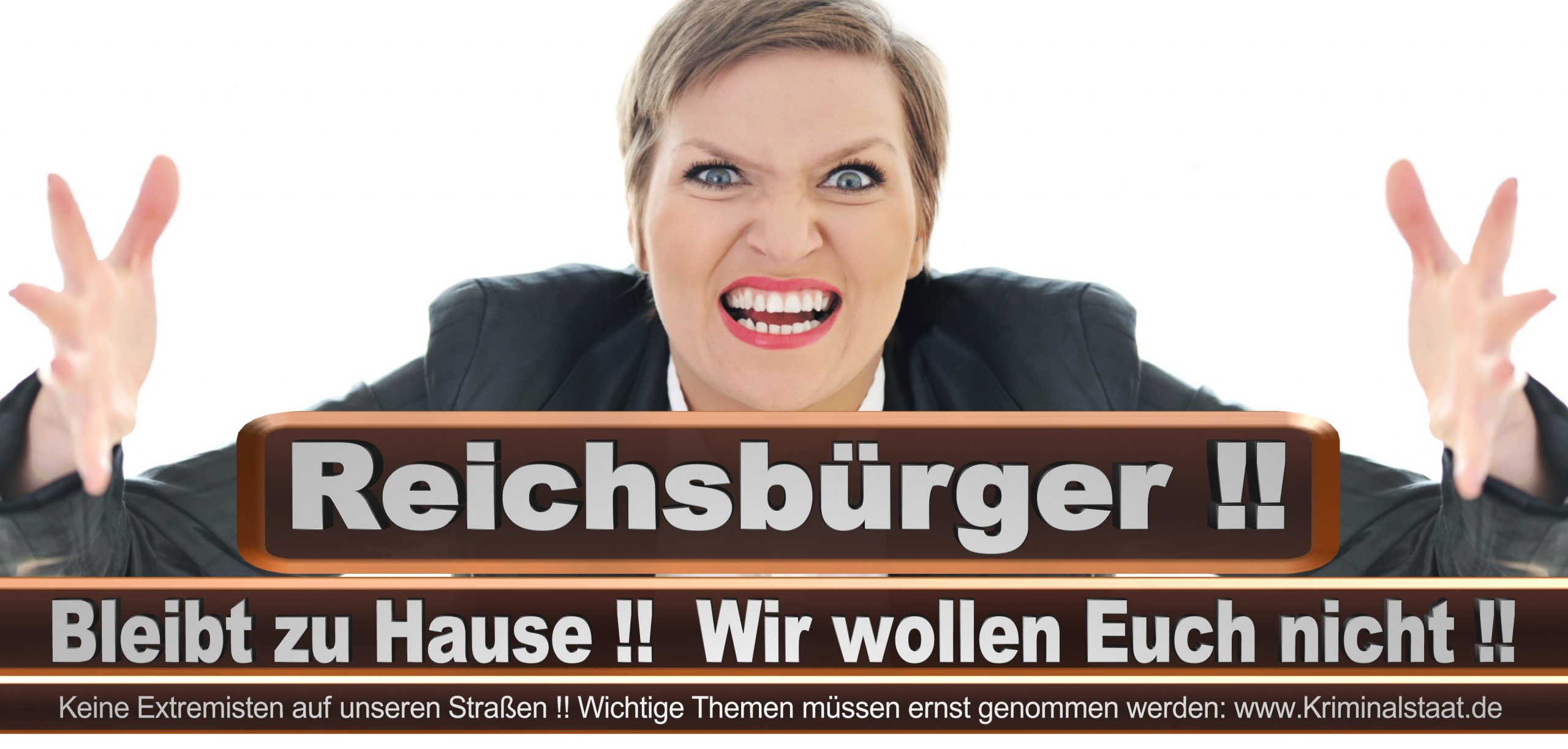 Bundestagswahl 2021 Wahlplakate CDU SPD FDP AFD Grüne Linke Stimmzettel Prognose Umfrage Kandidaten Parteien Datum (7)
