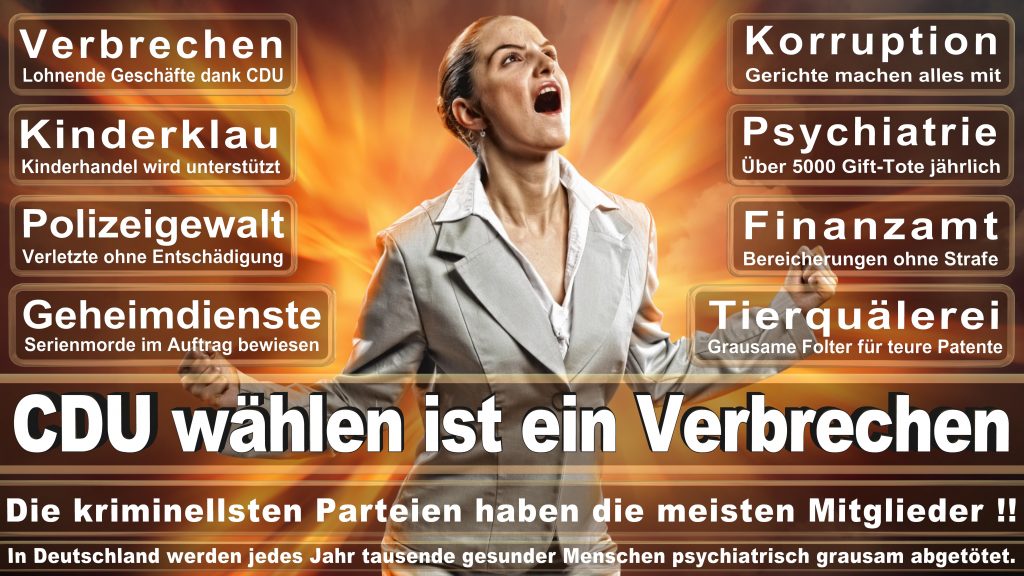 CDU Wahlplakate 2017 Angela Merkel Kundgebung Interview Europawahl CDU SPD FDP AFD NPD 1 1024x576