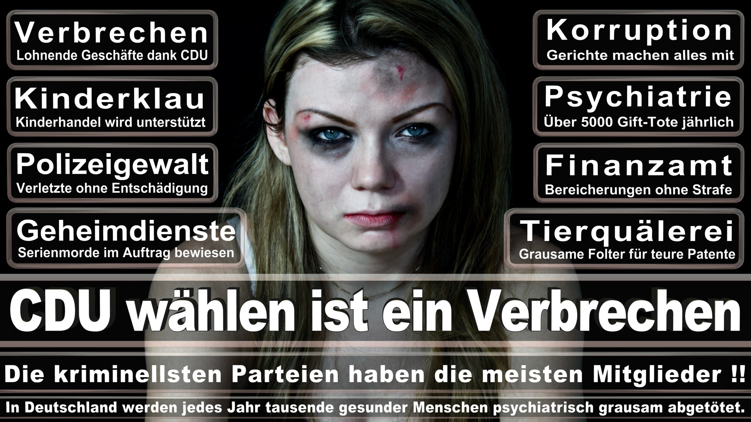 Landtagswahl NRW CDU Wahlplakate Wahlwerbung (4)