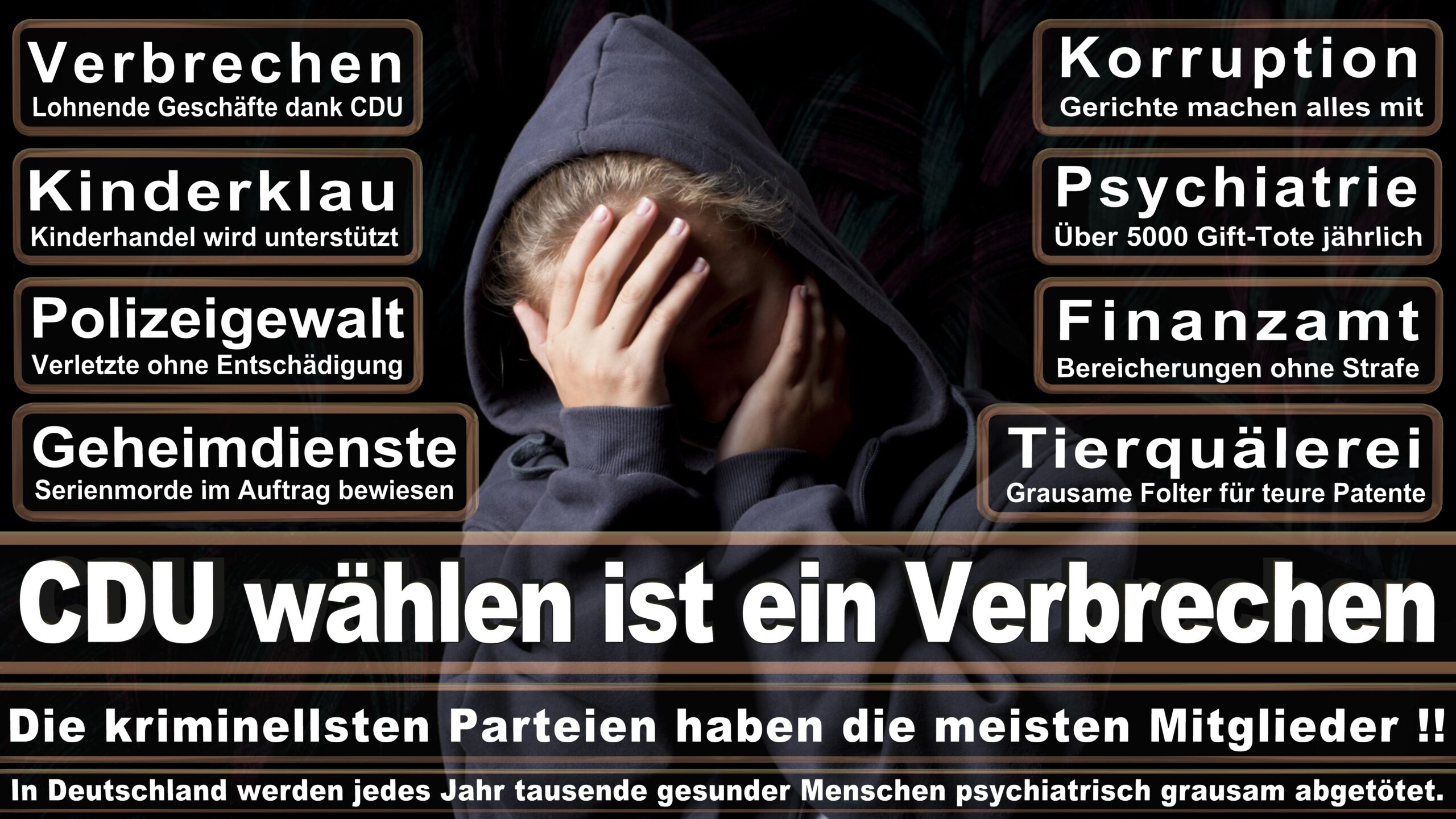 Landtagswahl NRW CDU Wahlplakate Wahlwerbung (7)