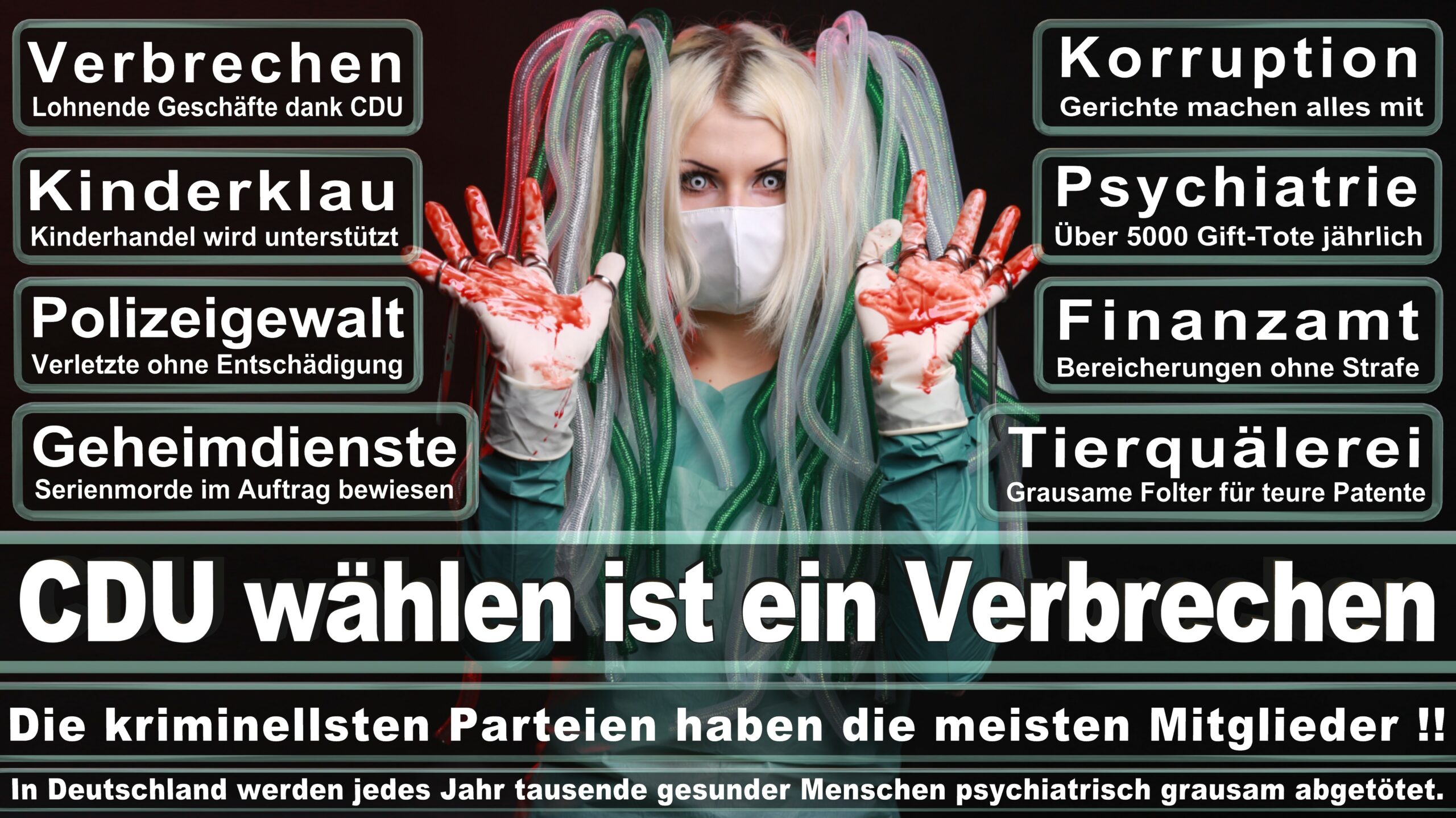 Landtagswahl NRW CDU Wahlplakate Wahlwerbung (8)