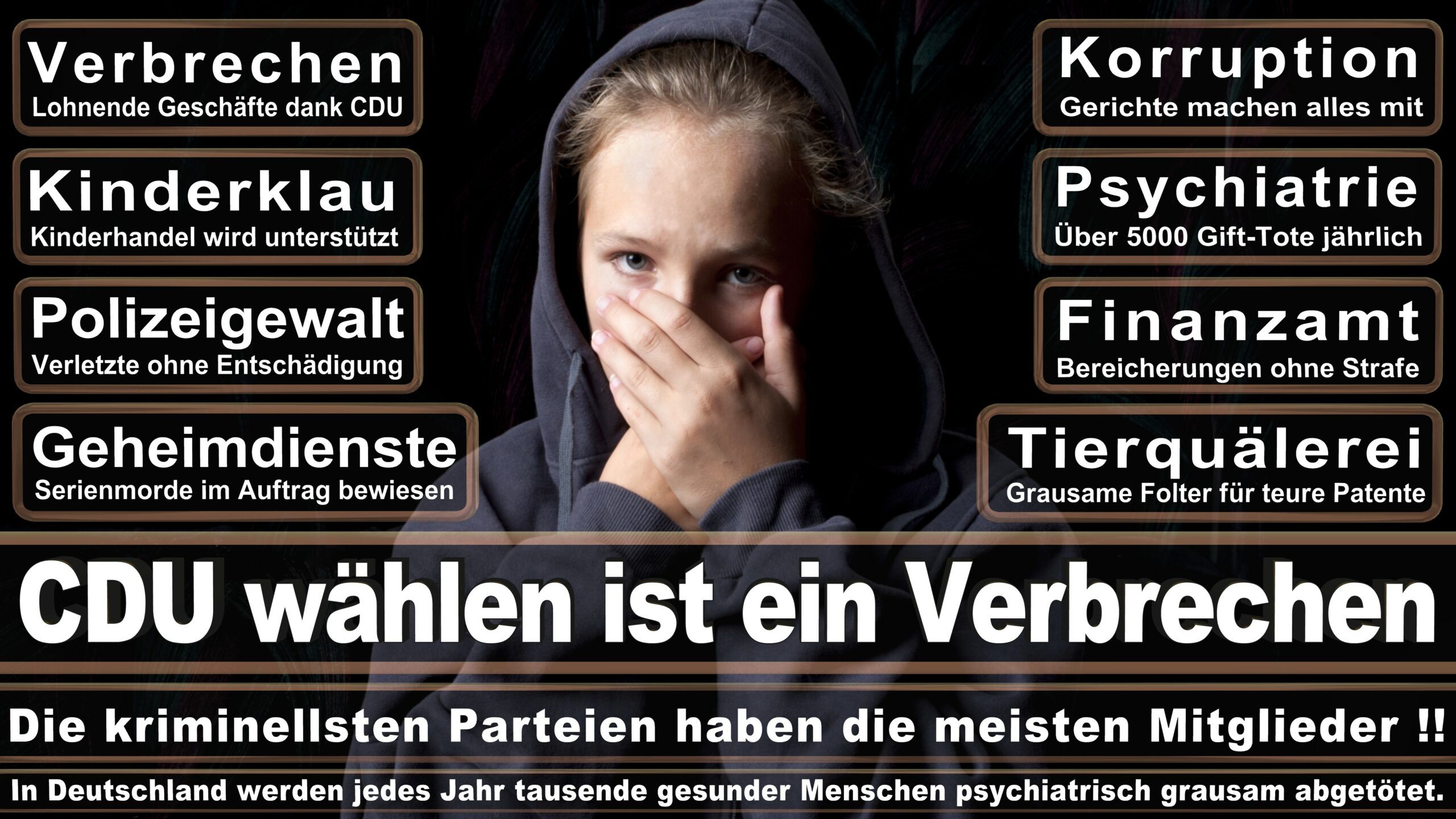 Landtagswahl NRW CDU Wahlplakate Wahlwerbung (9)