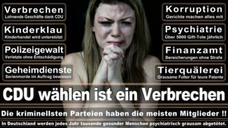 Landtagswahl NRW CDU Wahlplakate Wahlwerbung (11)