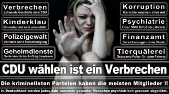 Landtagswahl NRW CDU Wahlplakate Wahlwerbung (3)